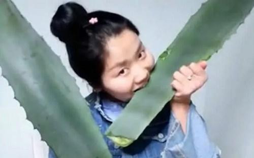 Vlogger Trung Quốc suýt chết vì ăn nhầm cây độc trong lúc live stream