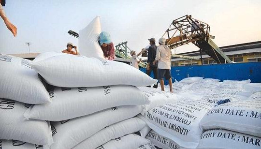 Xuất khẩu gạo: Thủ tục quá phức tạp, quá nhiều giấy phép con