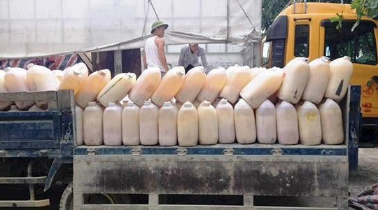 Hà Tĩnh: Bắt 6 tấn mỡ động vật đưa từ TP.HCM ra Thái Bình tiêu thụ