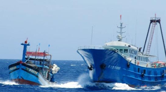 183 lượt tàu cá Trung Quốc vào đánh bắt cách Đà Nẵng 40 hải lý