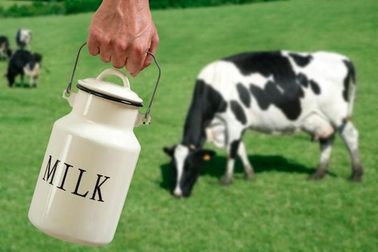 Từ 2018 các hãng sữa phải ghi rõ sữa bò tươi hay sữa bột pha nước trên vỏ hộp