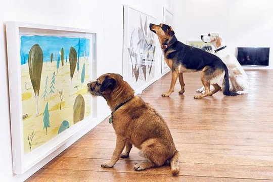 Triển lãm nghệ thuật tương tác đầu tiên trên thế giới dành riêng cho thú cưng 