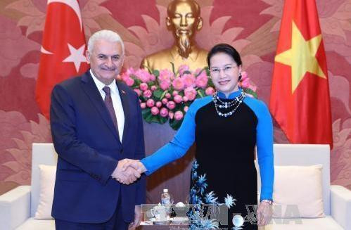 Chủ tịch Quốc hội Nguyễn Thị Kim Ngân tiếp Thủ tướng Thổ Nhĩ Kỳ