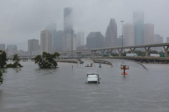 Thành phố Houston chìm trong biển nước nhìn từ trên cao