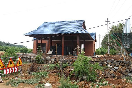 Quảng Ngãi: Chủ dự án sản xuất tỏi xây trái phép trên đất thuê