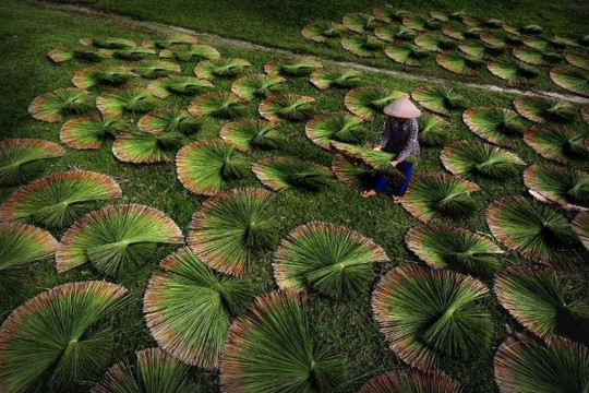 Những bức ảnh đẹp của Việt Nam được National Geographic đăng tải