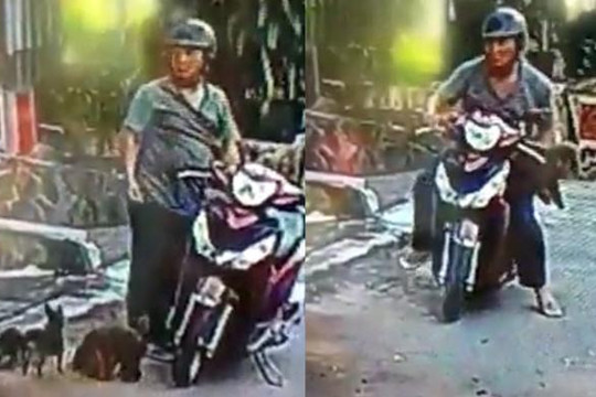 Clip cẩu tặc ở Sài Gòn bắt trộm chó cảnh đòi chuộc 10 triệu