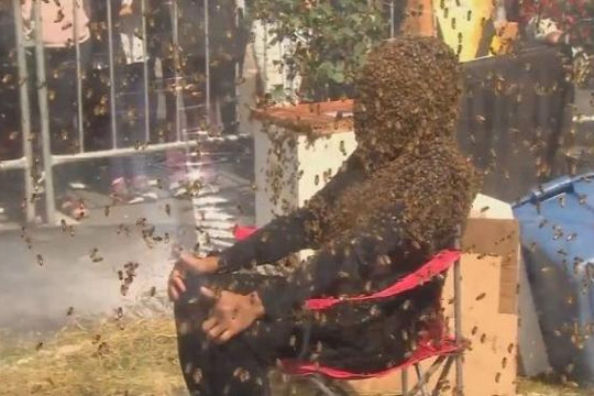 Cho hơn 100.000 con ong bu kín mặt trong suốt 1 tiếng