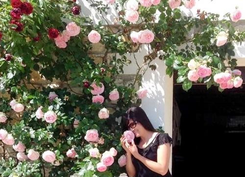 Ngắm khu vườn 'triệu đóa hồng' đẹp như cổ tích của mẹ Việt ở Pháp