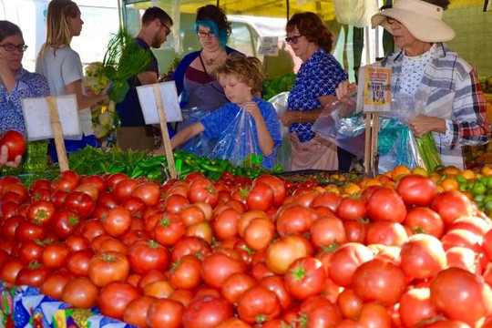 ‘Lạc lối’ giữa khu chợ niềm tin của nông dân Mỹ