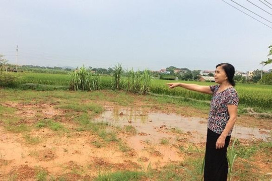 Bắc Giang: Cải tạo đất không xin phép bị xã cưỡng chế