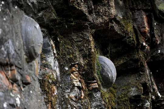 Kỳ lạ vách đá biết đẻ trứng ở Trung Quốc