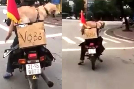 Chồng treo biển 'Vợ bỏ' chở chó bằng xe máy khắp phố Tuyên Quang