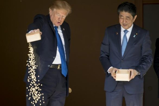 Ông Trump đổ ụp hộp bột thức ăn cho cá Nhật hoàng