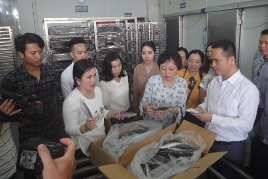 TP.HCM giúp Bình Thuận tiêu thụ 100 tấn hải sản mỗi tháng