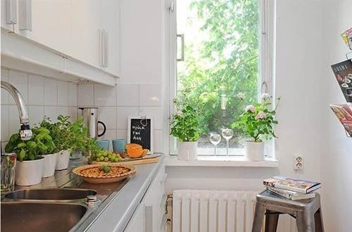 5 loại cây giúp làm sạch không khí trong nhà bếp