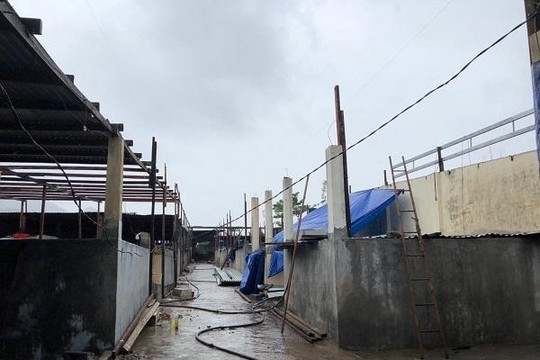 Masan Consumer tặng 200 triệu đồng cho ngư dân tỉnh Khánh Hòa bị ảnh hưởng bởi bão lũ số 12