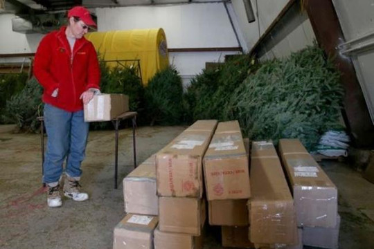 Binh sĩ Mỹ ở nước ngoài không nhận được cây thông Giáng sinh
