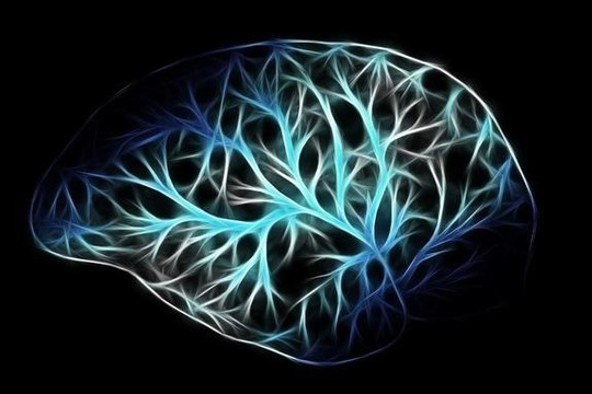Khám phá ra cơ chế 'máy quét cảm xúc' trong não người