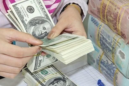 12 ngày đầu năm, dự trữ ngoại hối tăng thêm 2,5 tỉ USD