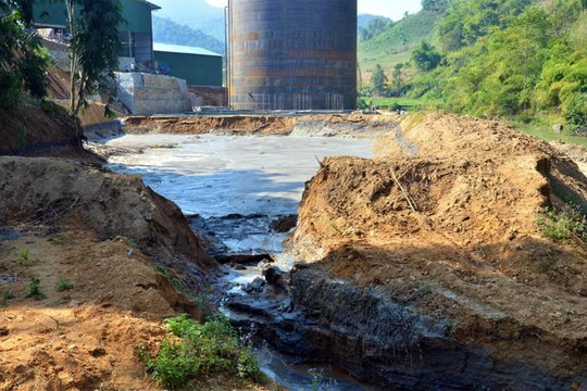 Điện Biên: Cá chết hàng loạt vì ô nhiễm sau sự cố vỡ bể chứa chất thải