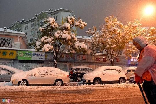 Loạt ảnh tuyết phủ trắng xóa ở Thường Châu, Trung Quốc
