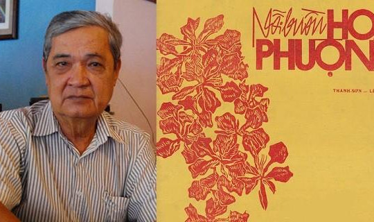 Tác giả 'Nỗi buồn hoa phượng' thu tiền tác quyền cao thứ 2 sau nhạc sĩ Trịnh Công Sơn