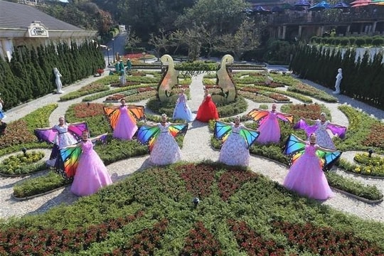 Chỉ đến Sun World Ba Na Hills mùa xuân, bạn mới được thấy những loại hoa độc đáo này