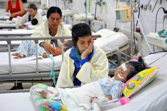 Khẩn cấp ngăn chặn nguy cơ bệnh cúm bùng phát thành dịch