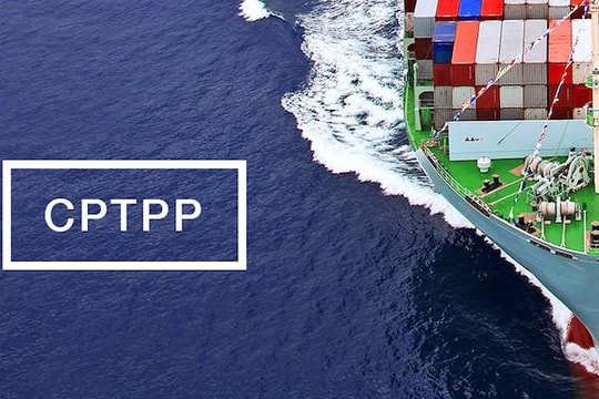 Việt Nam trông đợi gì từ CPTPP?