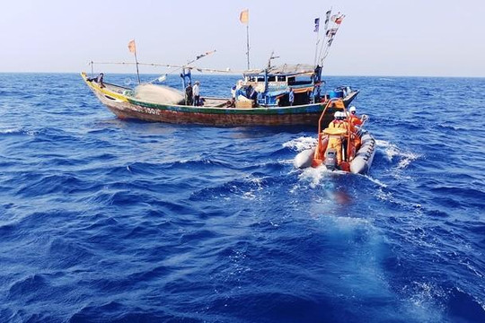 Tàu SAR 412 cứu sống thuyền viên bị tai nạn nguy kịch trên biển