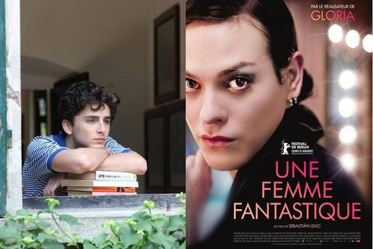 Oscar 2018: Phim đồng tính thất bại, phim chuyển giới lên ngôi