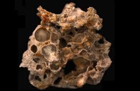 Tìm thấy 'kho' oxy do vi khuẩn lưu giữ trong các mẫu hóa thạch 1,6 tỉ năm trước