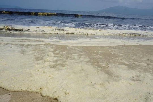 Đà Nẵng: 5 km bãi biển có nước màu đen bất thường