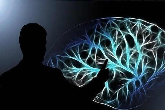 Hiện thực hóa ý tưởng cấy chip vào não để cải thiện trí nhớ