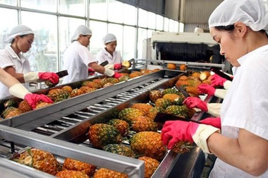 Trái cây, rau củ xuất khẩu sang Trung Quốc phải truy xuất nguồn gốc