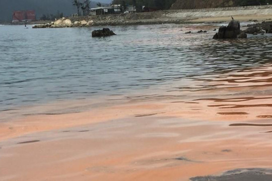 Quảng Bình: Xuất hiện vệt nước màu đỏ dài 1km trên bờ biển
