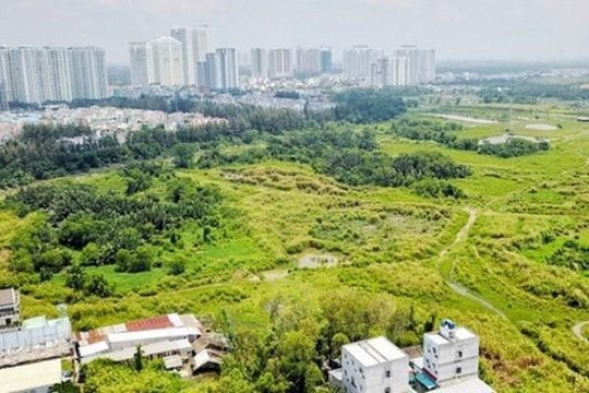 TP.HCM yêu cầu đàm phán hủy hợp đồng chuyển nhượng đất tại Phước Kiển - Nhà Bè