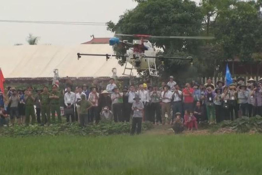 Xem máy bay không người lái phun thuốc sâu lần đầu tiên xuất hiện ở Viêt Nam