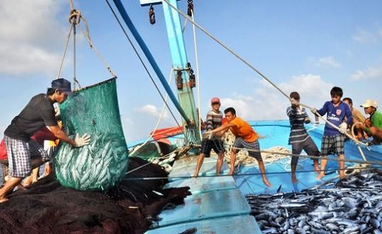 Bộ Nông nghiệp: Lệnh cấm đánh bắt cá trên Biển Đông của Trung Quốc là vô giá trị