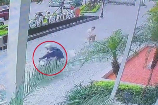 Cẩu tặc cướp chó, kéo lê chủ cả chục mét trước chung cư ở Hà Nội