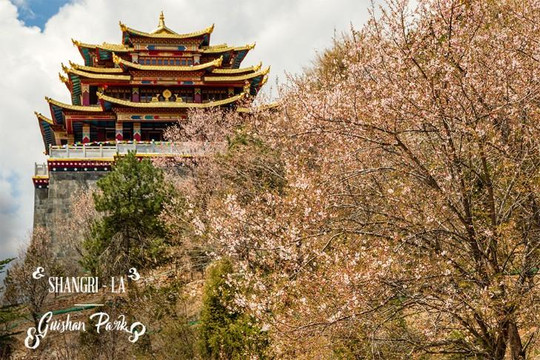 Khánh phá Lệ Giang và Shangri-La: Kinh nghiệm du lịch từ A đến Z