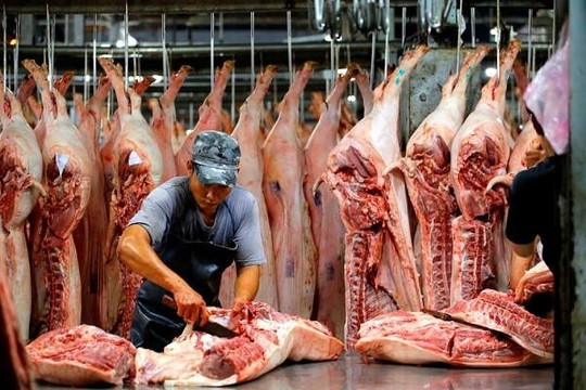 Trung Quốc đang xem xét nhập khẩu chính ngạch thịt lợn Việt Nam