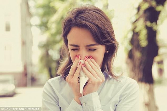    Tìm ra phân tử giúp ngừa cảm cúm