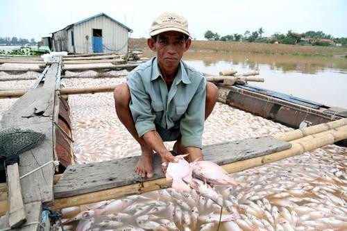 Công an điều tra vụ chết hơn 1.500 tấn cá bè trên sông La Ngà