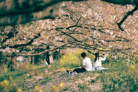 Nhật Bản thú vị qua ống kính của nhiếp ảnh du lịch Tâm Bùi