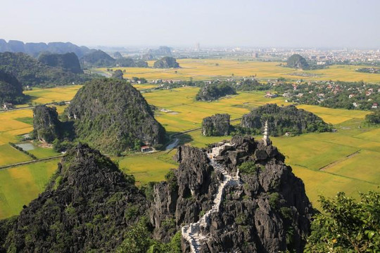 Những điểm ngắm lúa chín đẹp nhất Việt Nam không thể bỏ qua