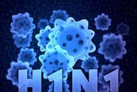Phát hiện 6 trường hợp nhiễm cúm A/H1N1 ở Vĩnh Long 