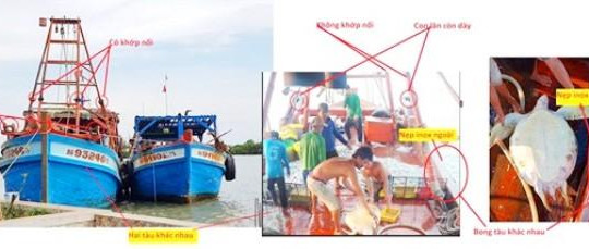 Kiên Giang: Bác bỏ thông tin tàu Việt Nam sang Campuchia đánh bắt động vật biển nguy cấp
