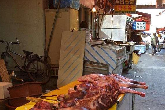 Hàn Quốc ra luật: Nuôi chó giết thịt là phạm pháp